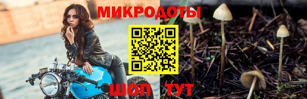Галлюциногенные грибы MAGIC MUSHROOMS Сарапул